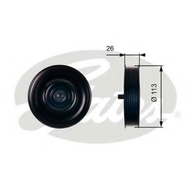 Ролик генератора Hyundai Santa Fe Tucson Kia Sportage 2.0 CRDi 01- (паразитний)