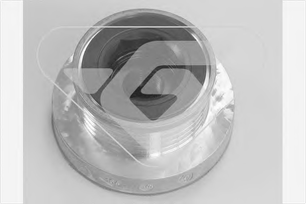 Шків генератора Renault Kangoo 1.5 dCi 1.4 1.6i (6PK)